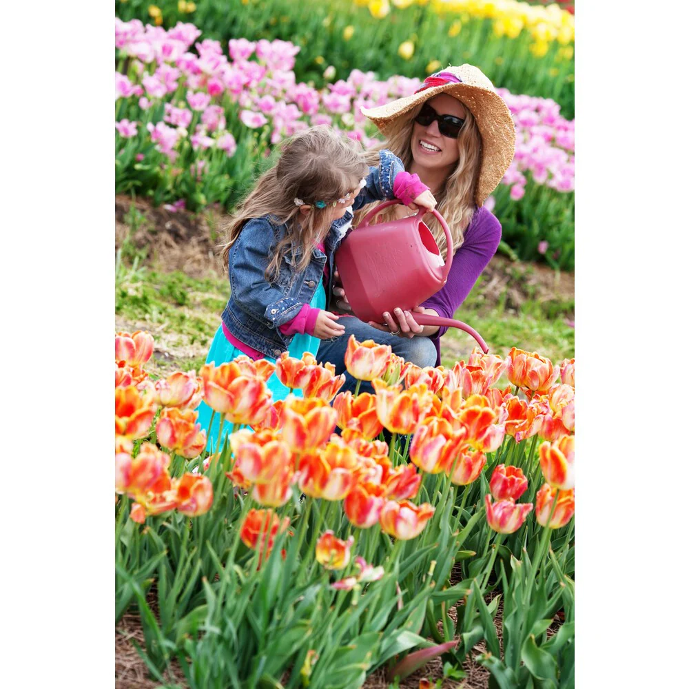 56 -ounce Passion Fruit Watering Can